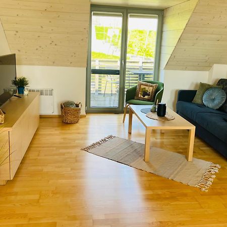 Apartmány U Venuše s velkou terasou Pavlov Exterior foto