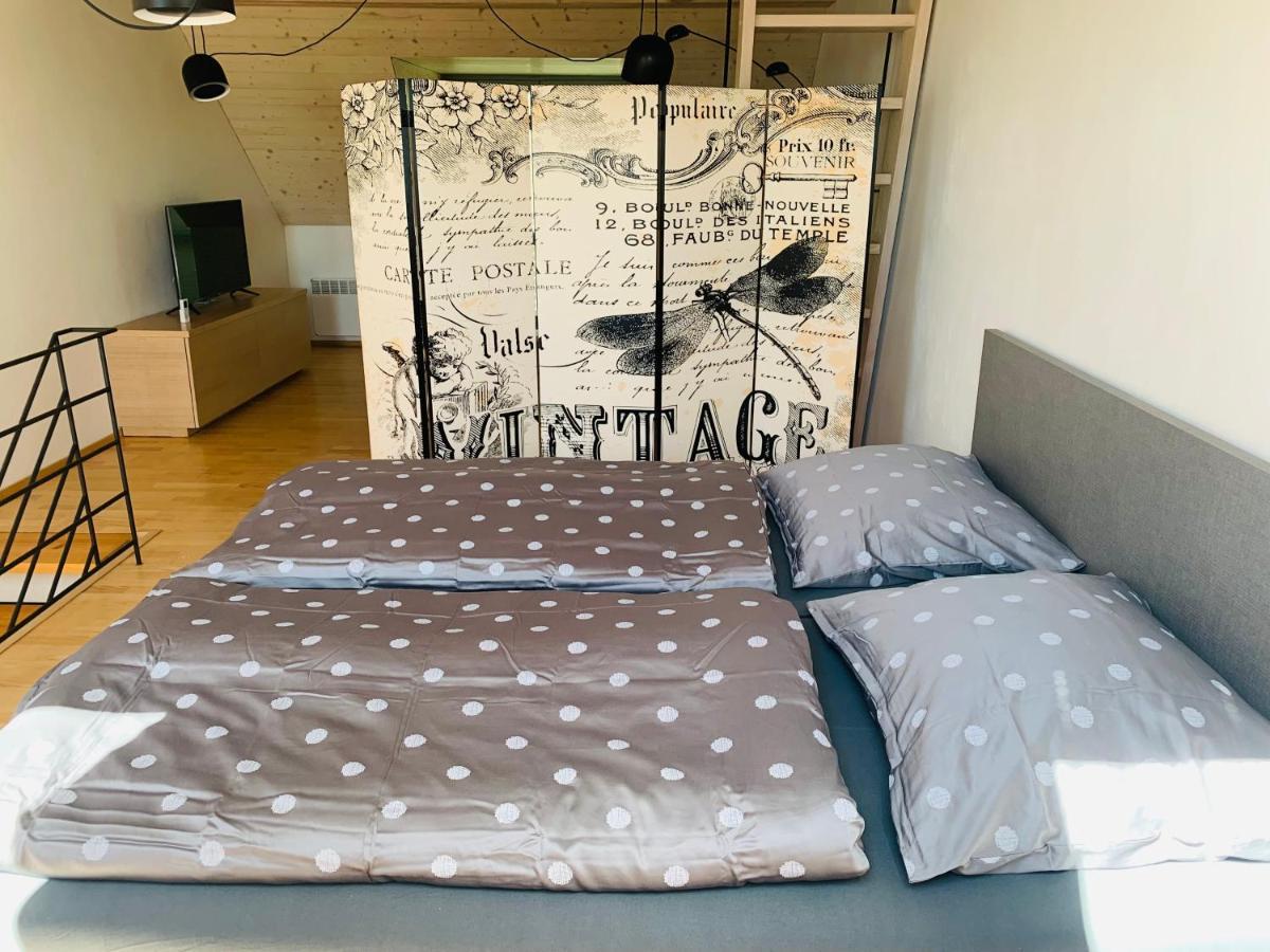 Apartmány U Venuše s velkou terasou Pavlov Exterior foto