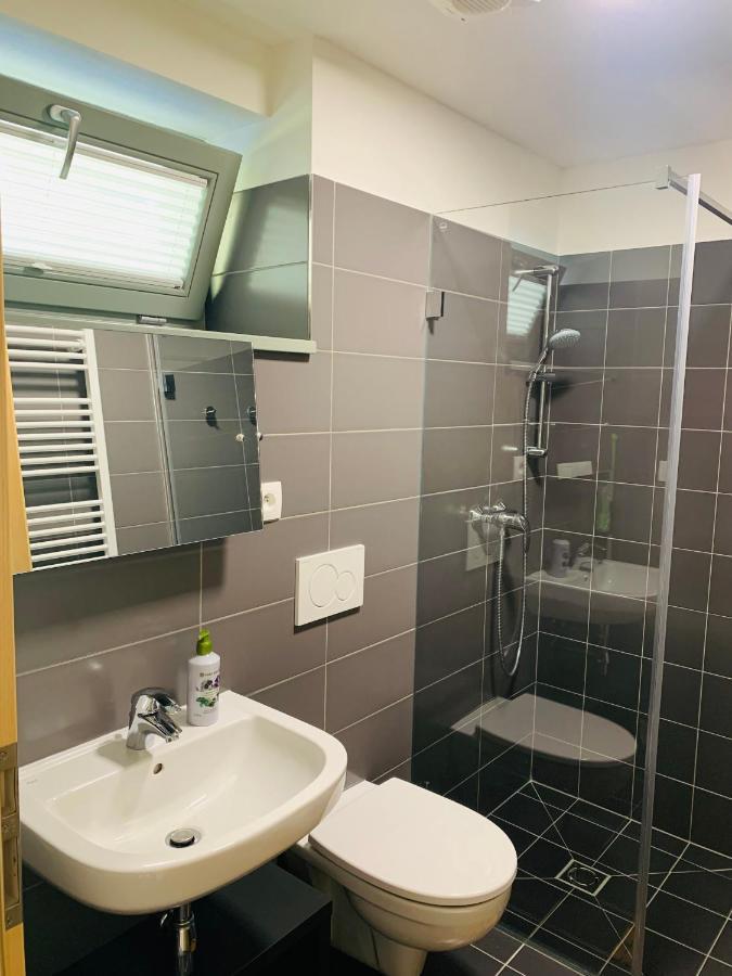Apartmány U Venuše s velkou terasou Pavlov Exterior foto