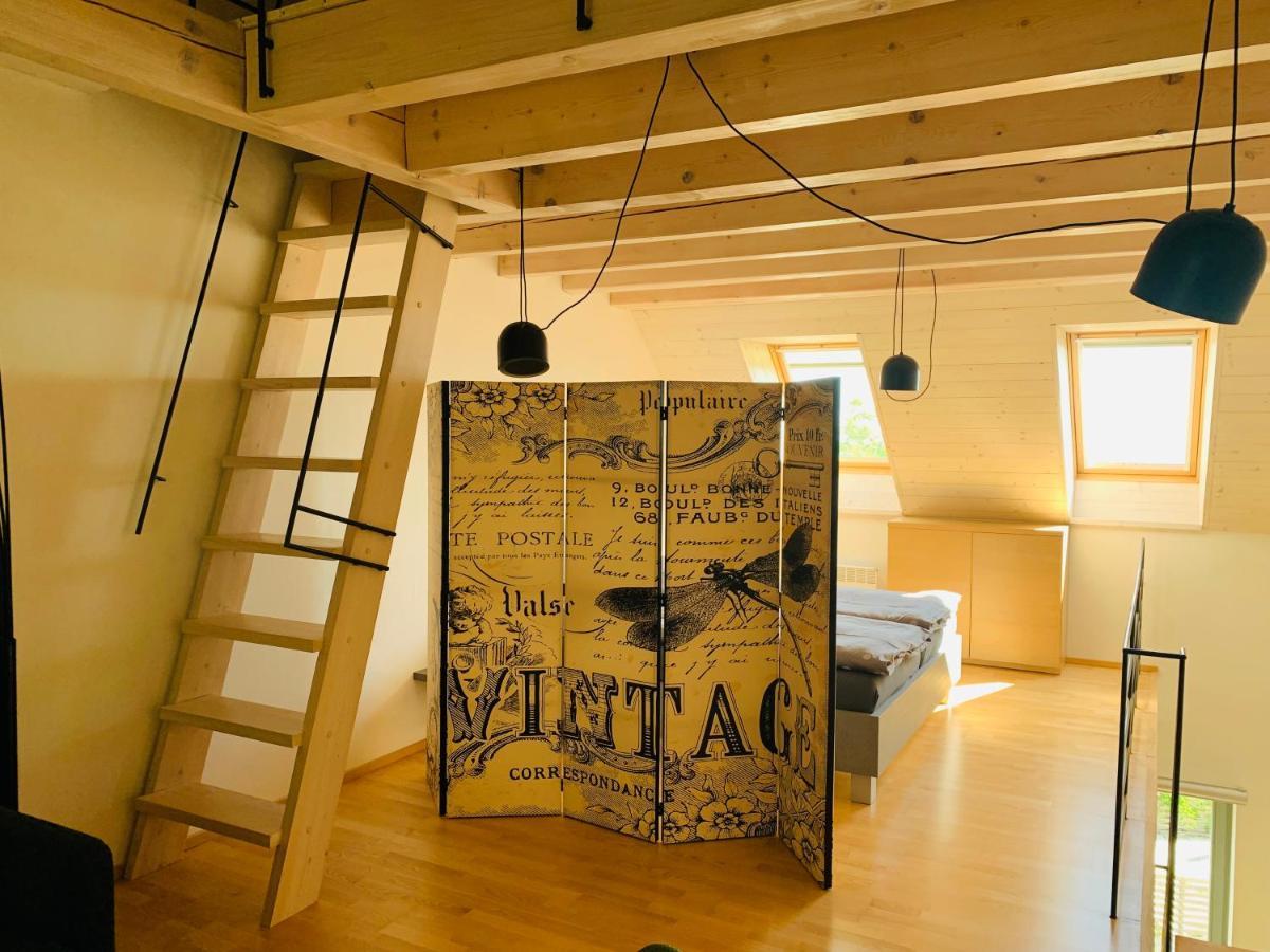 Apartmány U Venuše s velkou terasou Pavlov Exterior foto