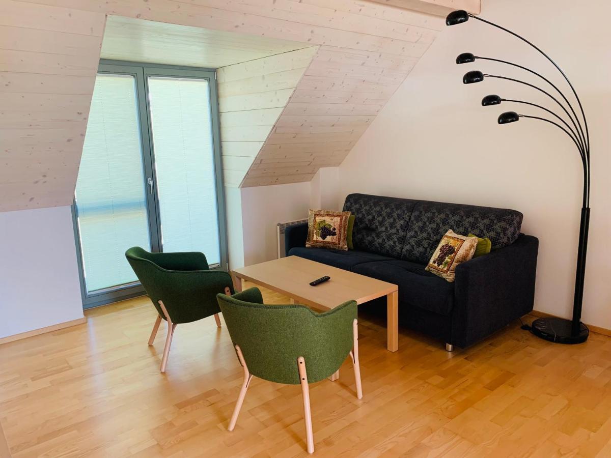Apartmány U Venuše s velkou terasou Pavlov Exterior foto