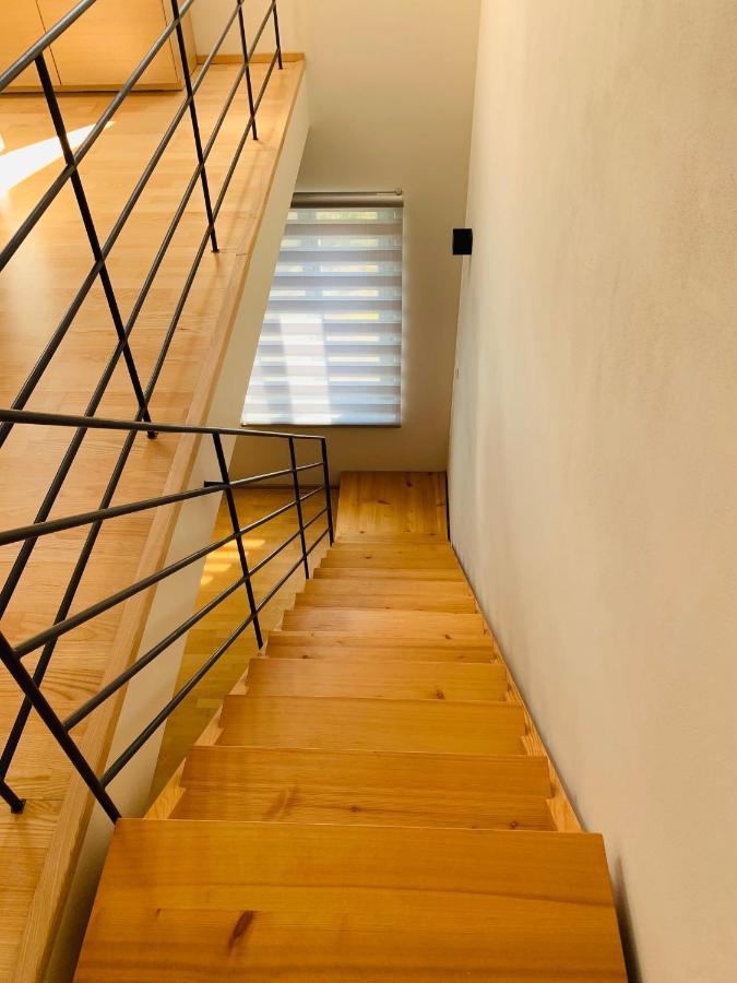 Apartmány U Venuše s velkou terasou Pavlov Exterior foto