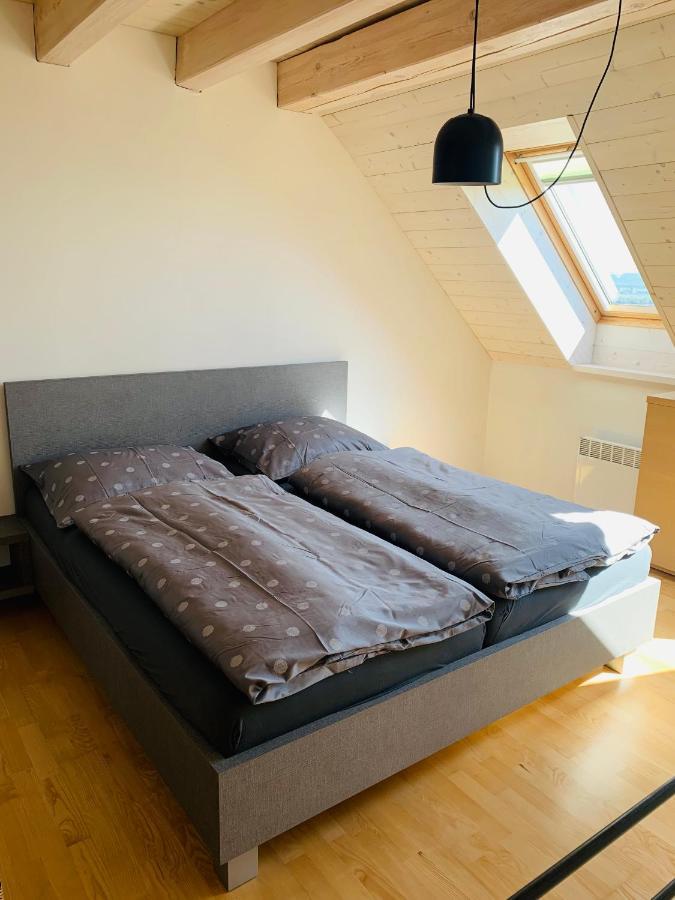 Apartmány U Venuše s velkou terasou Pavlov Exterior foto