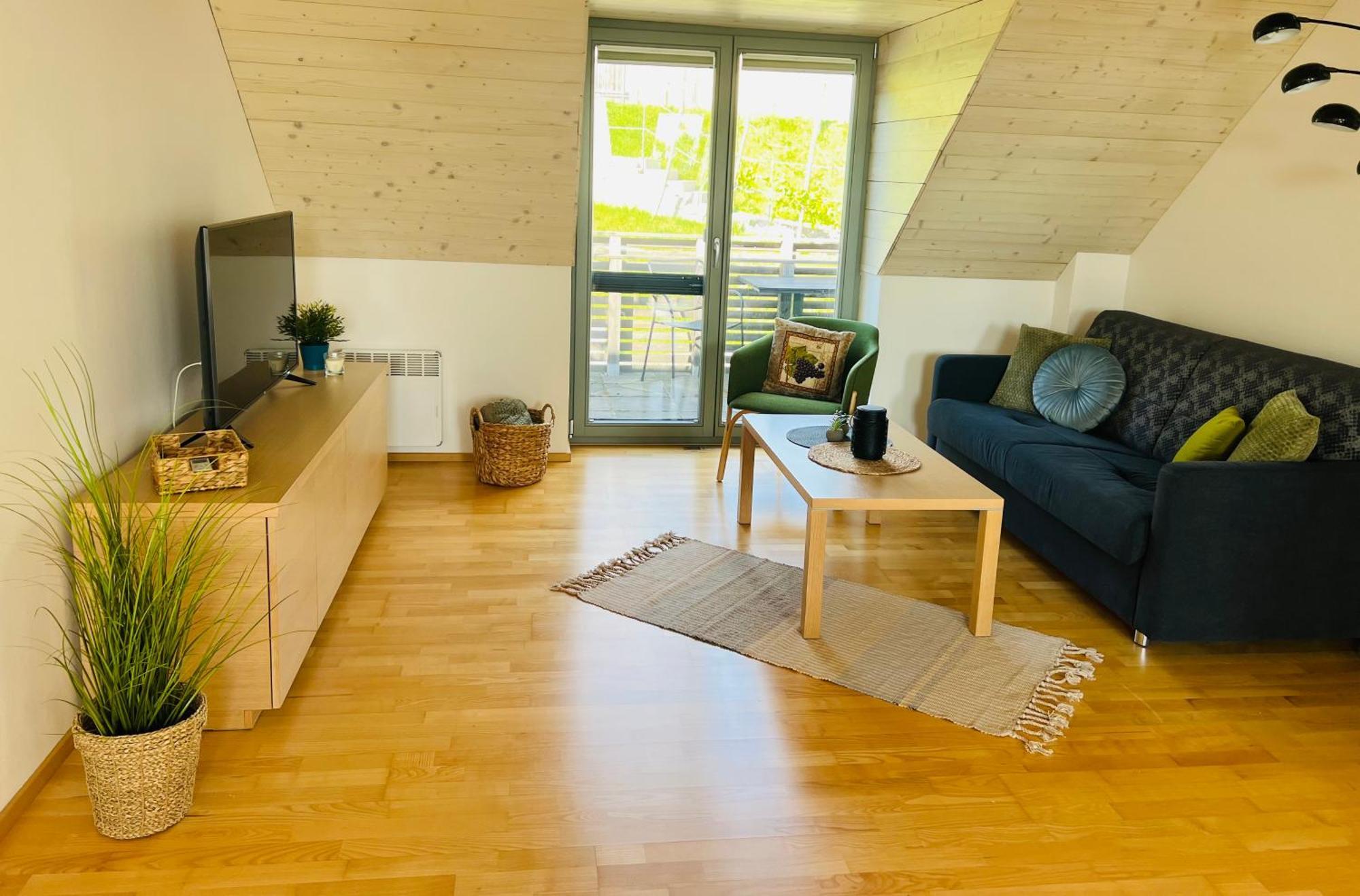 Apartmány U Venuše s velkou terasou Pavlov Exterior foto